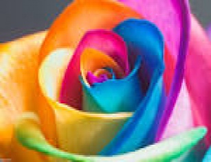 رنگ واسانس