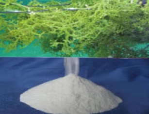 Carrageenan