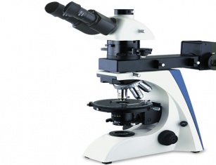 Optical and ocular microscopes