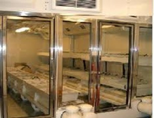 Growth chamber