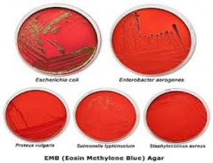 EMB