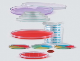 Petri dish 8 and 10 Cent